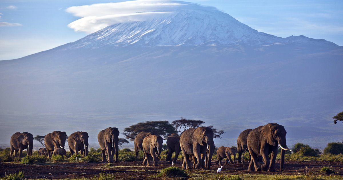 Que visitar en africa