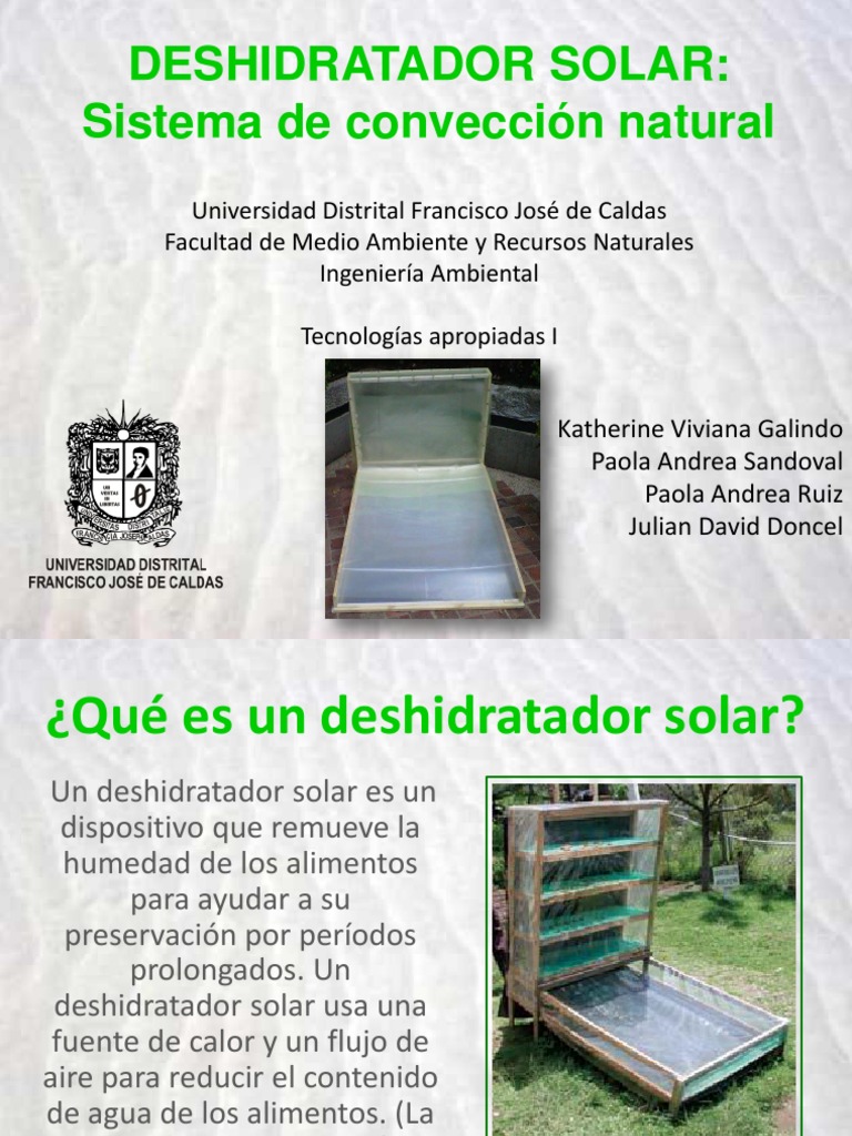 Deshidratador de frutas solar