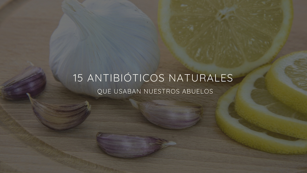 Antibiotico natural para heridas infectadas