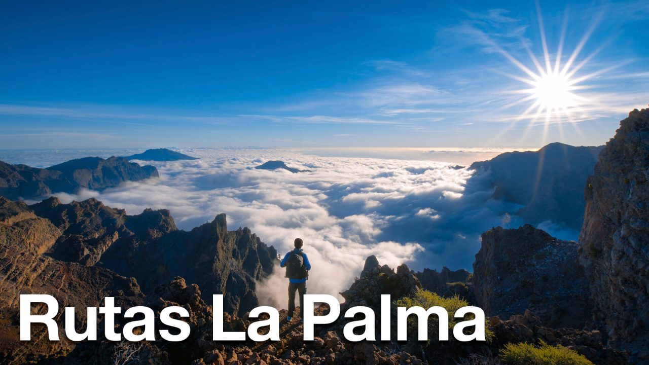 Rutas en la palma