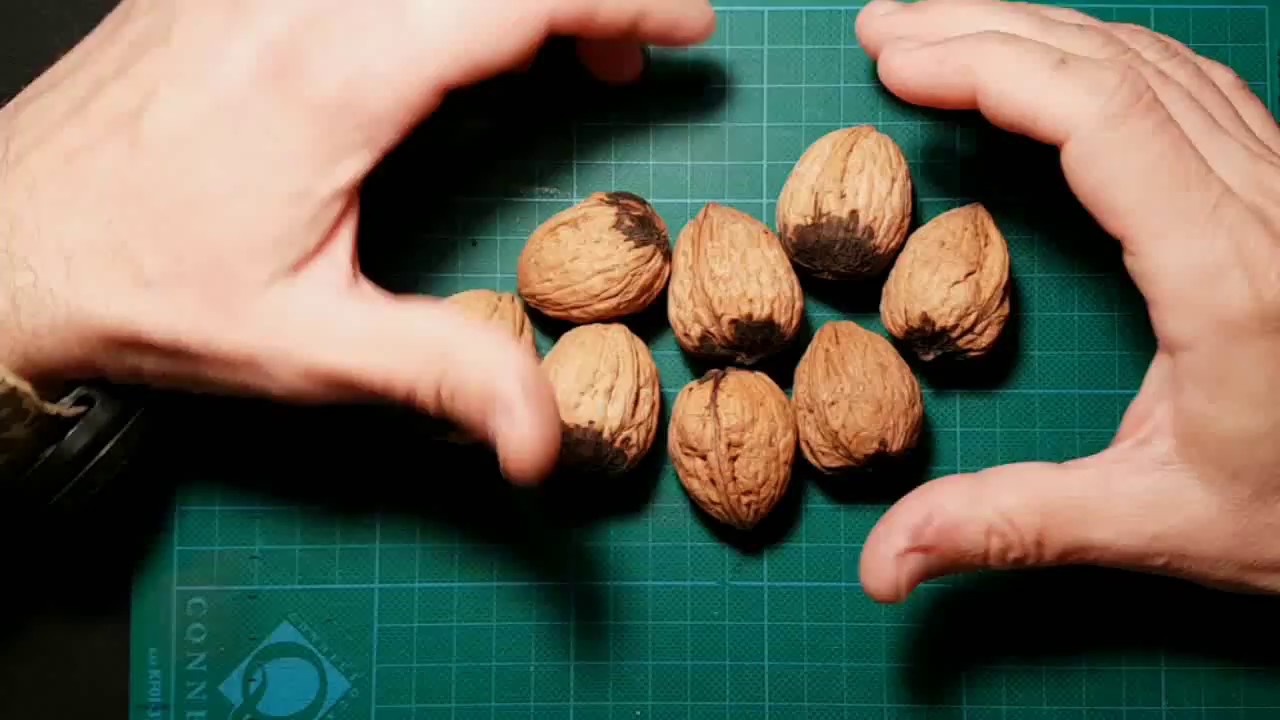 Hojas de nogal para el pelo