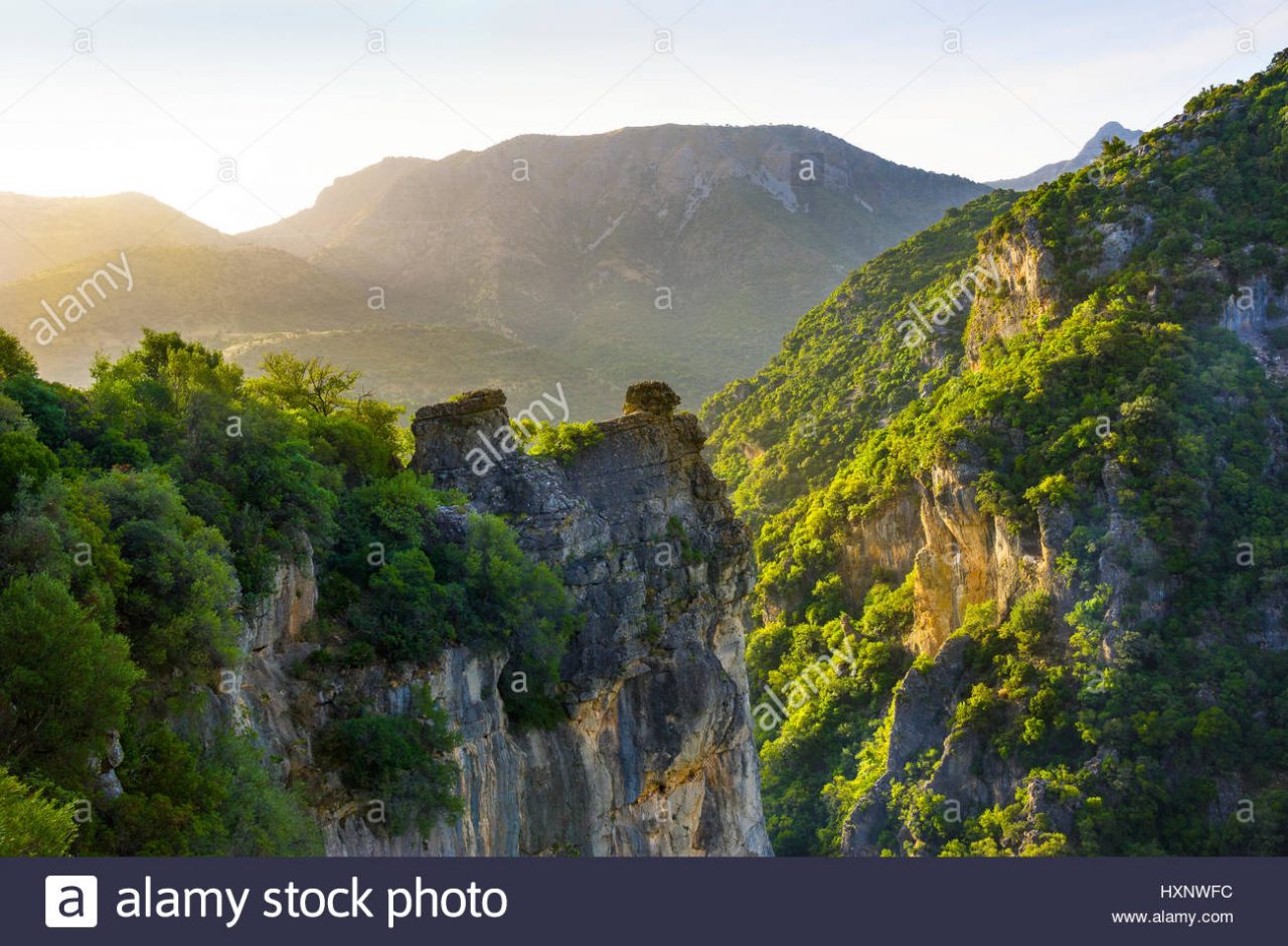 Parque natural de la sierra de grazalema