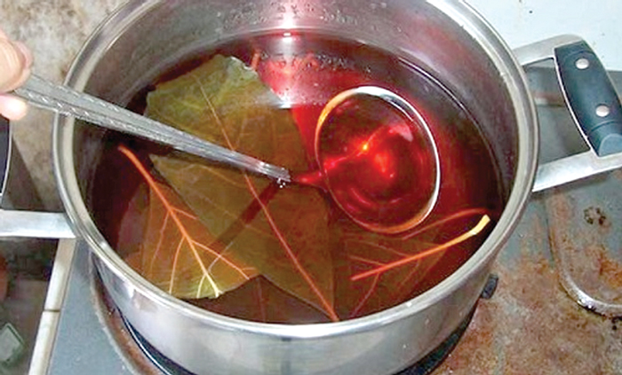 Te de hojas de aguacate