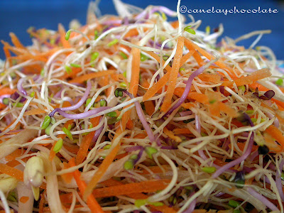 Ensalada con germinado de alfalfa