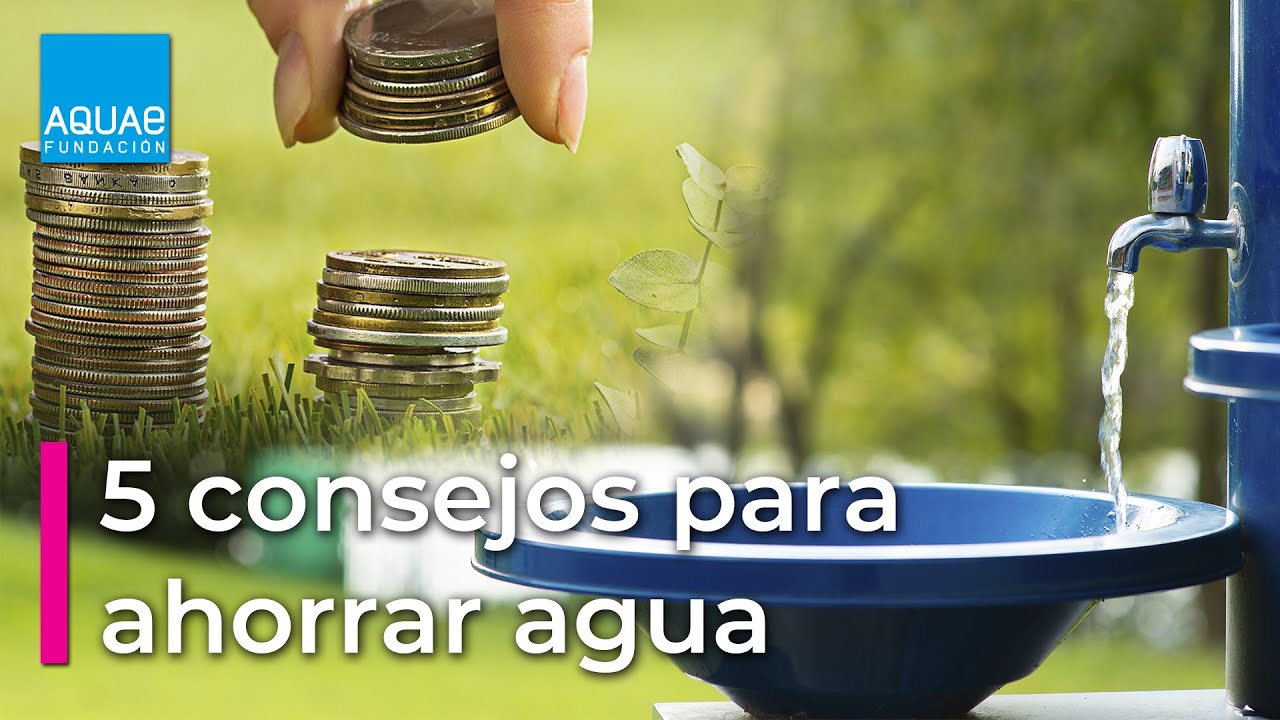 El ahorro y cuidado del agua