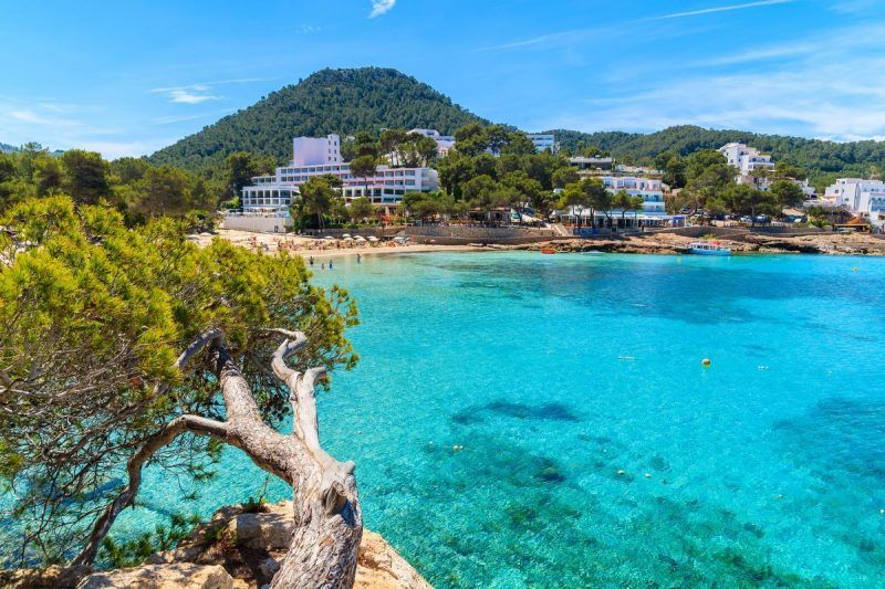 Mejor zona de ibiza