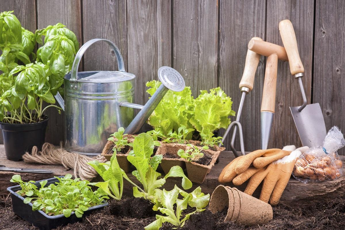 Como hacer un fertilizante casero para plantas
