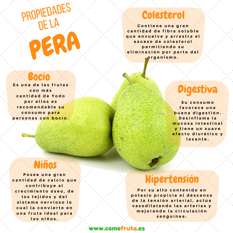 Propiedades nutricionales de las frutas