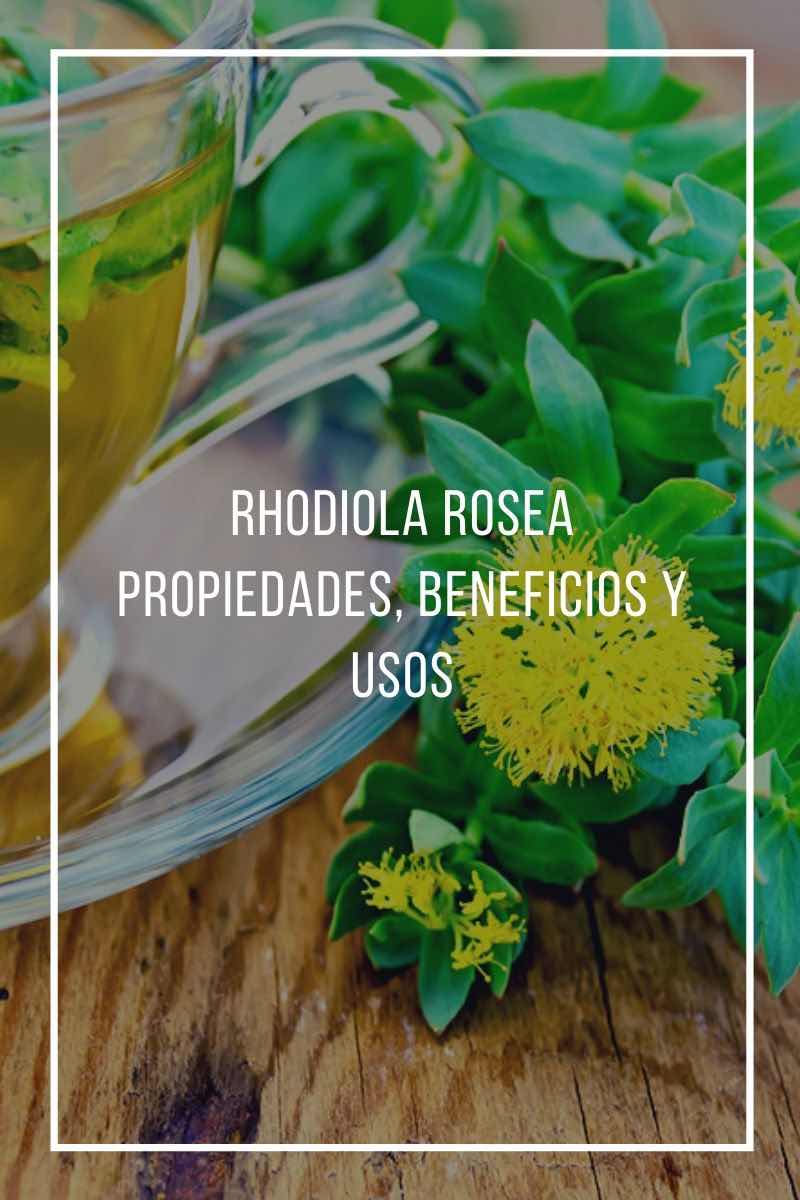 Aristo caps rhodiola rosea y vitaminas para que sirve