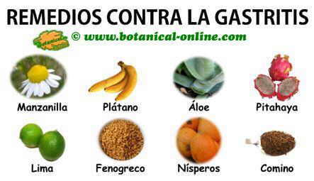 Plantas medicinales para la gastritis