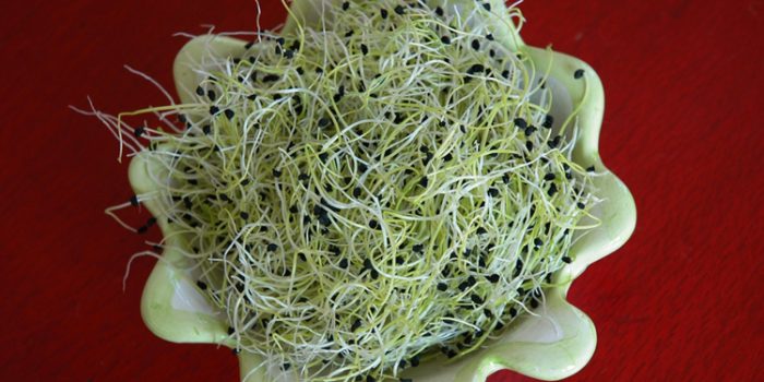 Propiedades del germinado de alfalfa