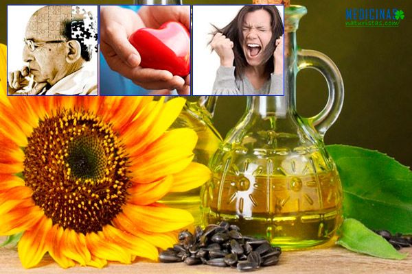 Semillas de girasol propiedades curativas