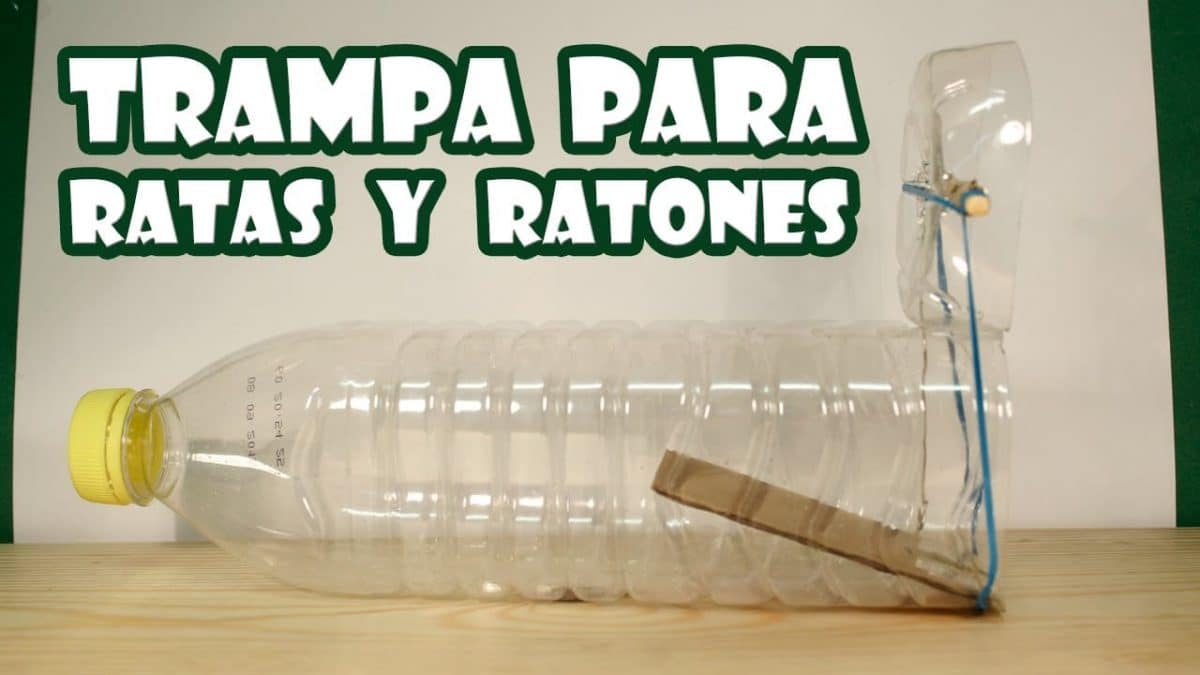 Como hacer trampas para animales