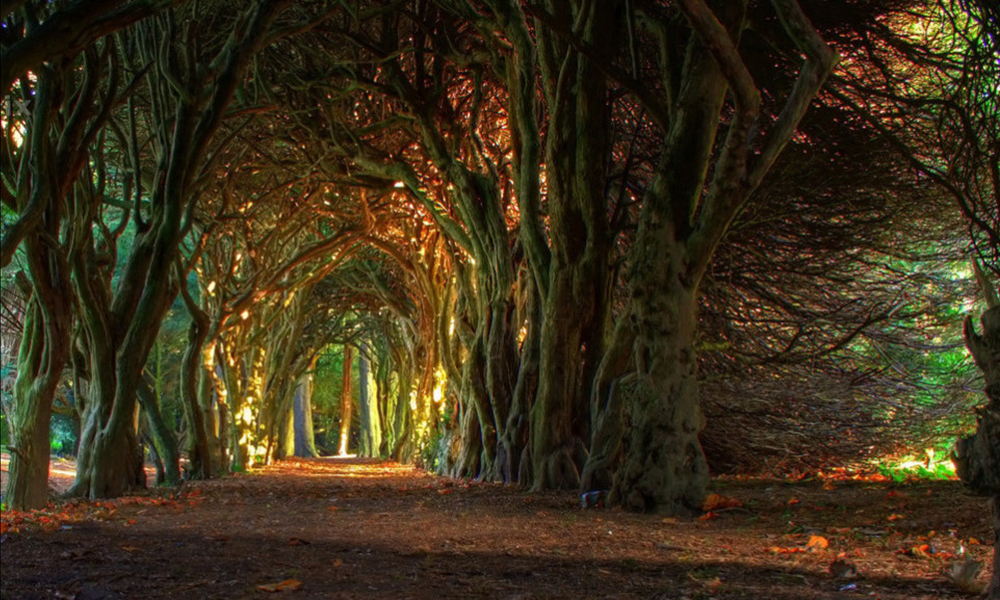 Que visitar en irlanda
