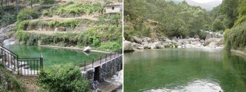 El charco verde avila
